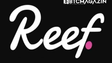 Reef (REEF) Nedir? Reef (REEF) Geleceği ve Yorum 2022 6