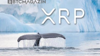 Ripple Balinaları 672 Milyon XRP Taşıdı 7