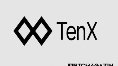 TenX (PAY) Nedir? TenX (PAY) Geleceği ve Yorum 2022 9