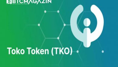 Toko Token (TKO) Nedir? Toko Token (TKO) Geleceği ve Yorum 2022 5