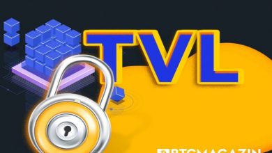 Total Value Locked (TVL) Nedir? Neyi Gösterir? 5