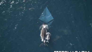 Balinalar Ethereum (ETH) Biriktirmeye Devam Ediyor 1
