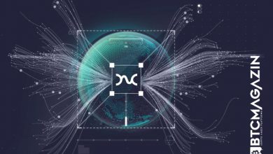 Boson Protocol (BOSON) Nedir? Boson Protocol (BOSON) Geleceği ve Yorum 2022 3