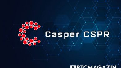 Casper Network (CSPR) Nedir? Casper Network (CSPR) Geleceği ve Yorum 2022 2