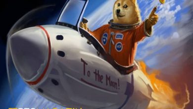 Devasa Balina İşlemleri Gören Dogecoin (DOGE) Yükselişe Geçti! 8