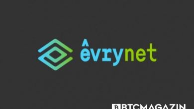 Evrynet (EVRY) Nedir? Evrynet (EVRY) Geleceği ve Yorum 2022 2