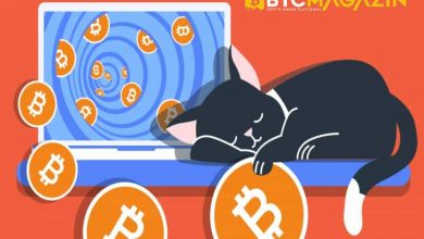 Kripto Paralarla Pasif Gelir Kazanma Yöntemleri 7