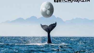 Ripple Balinaları 200 Milyon XRP Satın Aldı 4