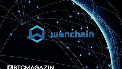 Wanchain (WAN) Nedir? Wanchain (WAN) Geleceği ve Yorum 2022 6