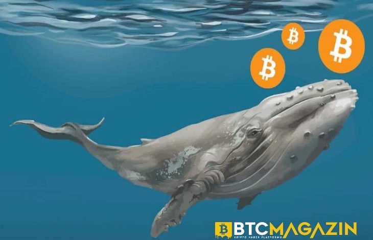 Bitcoin Balinası Nedir? Kripto Piyasalarını Manipüle Edebilirler mi? 1