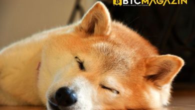Dogecoin Balinası 200 milyon DOGE Taşıdı, Popüler Meme Coin Düşüşe Geçti 8