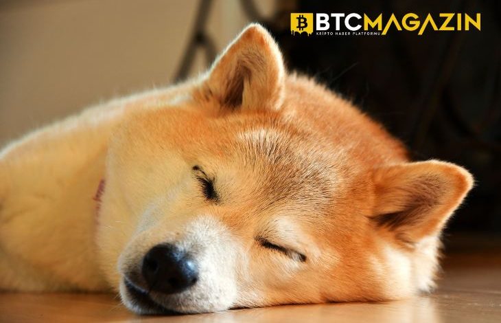 Dogecoin Balinası 200 milyon DOGE Taşıdı, Popüler Meme Coin Düşüşe Geçti 1
