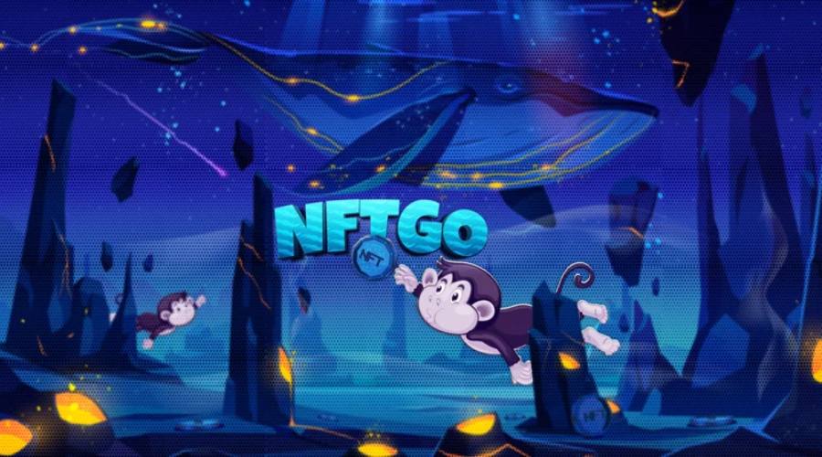 NFT nadirlik hesaplama sitesi NFTGo