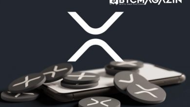 Ripple Balinaları 975.1 Milyon XRP Taşıdı 9