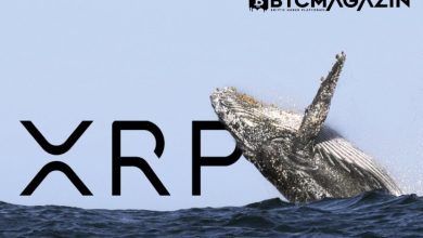 Ripple Balinaları XRP Biriktirmeye Devam Ediyor 4