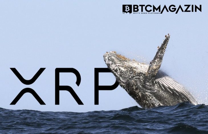 Ripple Balinaları XRP Biriktirmeye Devam Ediyor 1
