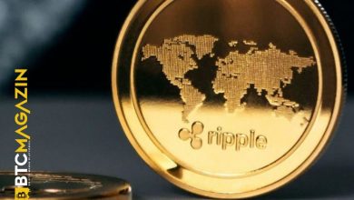 Ripple Balinalarının Sayısı Tüm Zamanların En Yüksek Seviyesine Ulaştı 2