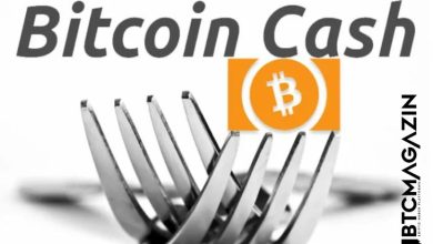 Bitcoin Cash'in (BCH) Başarısızlığının Nedeni Neydi? 6