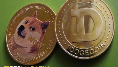 Dogecoin (DOGE) Arzının Neredeyse Yarısı 10 Adresin Etkisi Altında 6