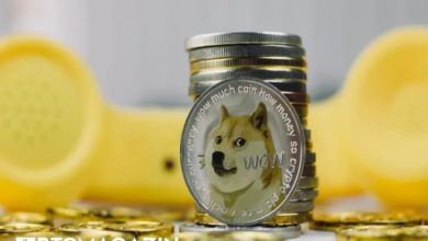 Dogecoin (DOGE) Fiyatı Yeni Yıl Öncesinde Daha da Düşecek mi? 6