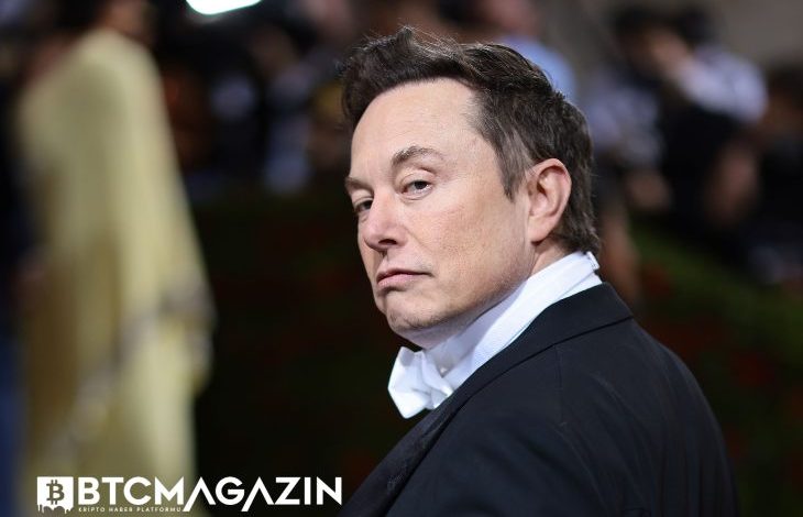 Dogecoin Destekçisi Elon Musk Dünyanın En Zengin İnsanı Unvanını Kaybetti 1