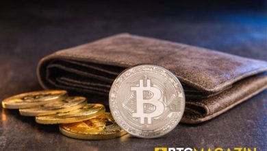 En İyi Sıcak Kripto Para ve Bitcoin Cüzdanları - 14 Çok Kullanılan Cüzdan 3