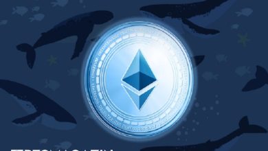 Ethereum Balinaları Birikime Devam Ediyor, Yükseliş Ne Zaman Gelir? 4