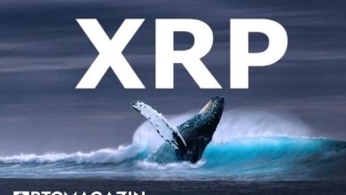 Ripple Balinaları Tarafından Yüz Milyonlarca XRP Taşındı 1