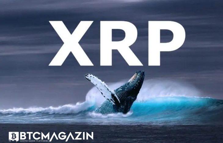 Ripple Balinaları Tarafından Yüz Milyonlarca XRP Taşındı 1