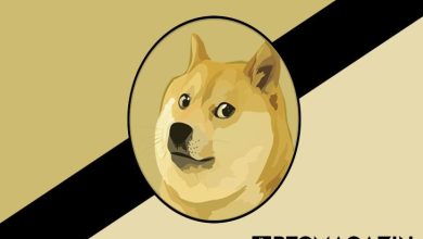 Analiste Göre Dogecoin (DOGE) Yükselişe Geçebilir 4