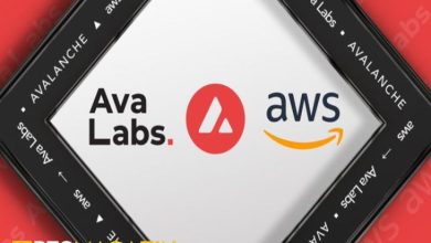 Avalanche, Amazon ile Ortaklık Kurdu, AVAX Fiyatı Yükselişe Geçti 1