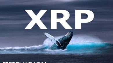 Balinalar Yüklü Ripple (XRP) Transferleri Gerçekleştiriyor 9