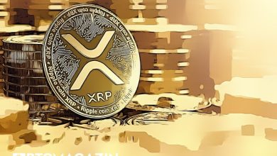 Ripple Balinaları XRP Biriktirmeye Devam Ediyor 7