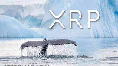 Ripple Balinaları XRP Varlıklarını Satıyor mu? 1