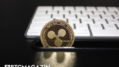 Ripple'ın Bu Planı Gerçekleşirse XRP Benimsemesinde Patlama Olabilir 6