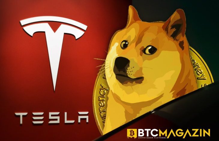 Tesla'nın Kazanç Raporu Öncesinde Balinalar Dogecoin (DOGE) Birikimine Yöneliyor 1