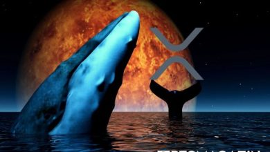 XRP Fiyat Artışının Ardında Ripple Balinaları mı Var? 7
