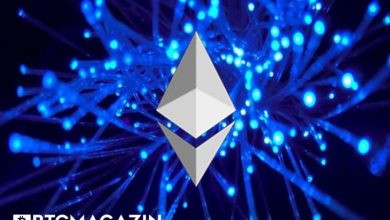 Yüksek Miktarda Ethereum (ETH) Tutan Cüzdan Sayısında Dikkat Çekici Artış! 8