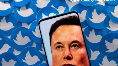 Elon Musk'ın Yeni CEO'su Dogecoin, Floki Inu ve Shiba Inu Fiyatlarını Arttırdı 5