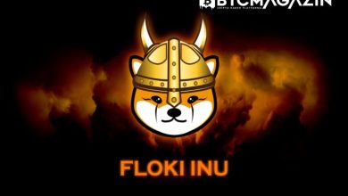 Floki Inu (FLOKI), Dogecoin'i Geride Bıraktı! 4