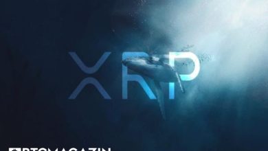 Ripple Balinaları Milyonlarca XRP Transferi Gerçekleştiriyor; XRP Fiyatı Artacak mı? 7