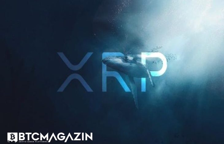 Ripple Balinaları Milyonlarca XRP Transferi Gerçekleştiriyor; XRP Fiyatı Artacak mı? 1