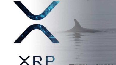 Ripple Balinaları Transferlere Devam Ediyor; XRP Fiyatı Daha Fazla Düşecek mi? 8