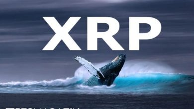 Ripple Balinaları XRP Fiyatı Düşerken Birikimlerini Artırıyor 9