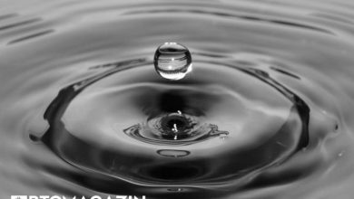 Ripple ile İlgili Olumlu Duyuruların Ardından Balinalar 533 Milyon XRP Taşıdı 1