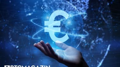 Ripple ve Digital Euro Association, CBDC ve Dijital Varlıklar İçin Whitepaper Yayınladı 4