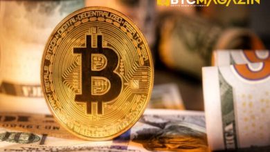 Binance CEO'su "CZ", ChatGPT'nin Halving Sonrası Bitcoin Fiyat Tahminini Reddetti 3