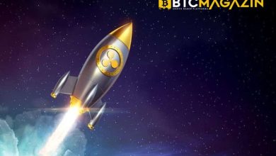 XRP'nin Fiyatı Ripple Tarafındaki Bu Büyük Gelişmenin Ardından Yeni Ralli Gerçekleştirecek mi? 3