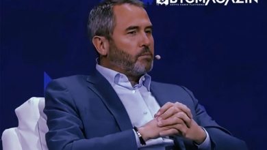 Brad Garlinghouse: Ripple'ın SEC ile Davası 200 Milyon Dolara Mal Olabilir 4