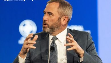 Ripple CEO'su Bir Sonraki Kripto Dostu Ülke Seçimini Açıkladı 3